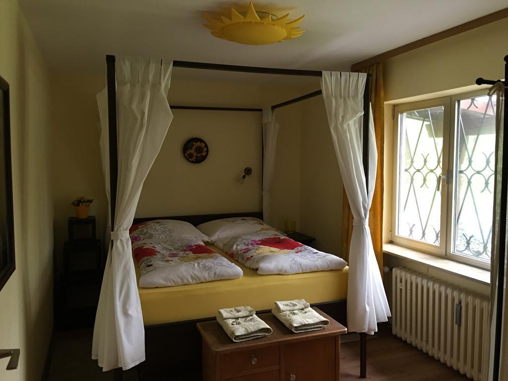 Large Wuerzburg Apartment Экстерьер фото